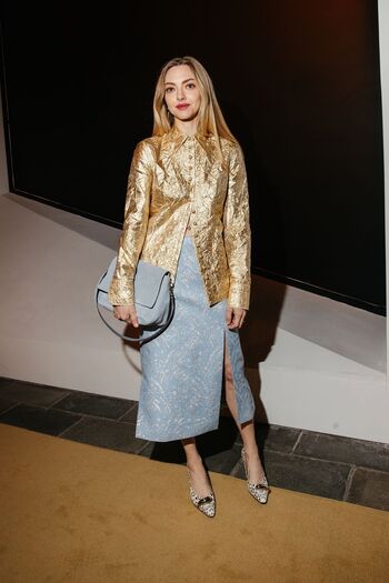 🔥 Amanda seyfried  page leaked private photo uncensored full