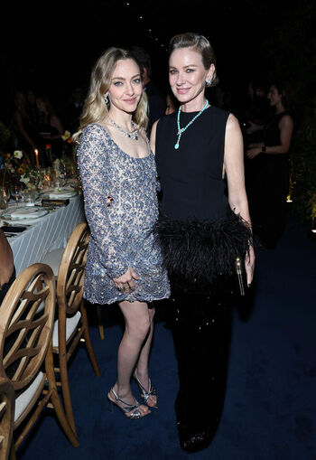 🔥 Amanda seyfried  page leaked private photo uncensored full