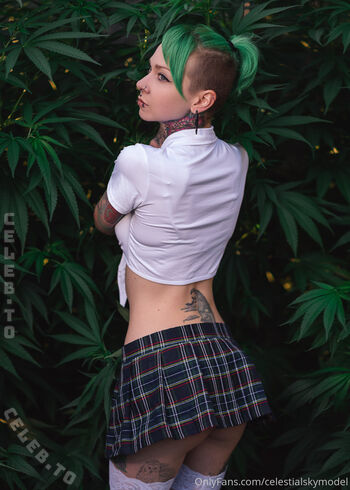 🔥 Celestial sky  page leaked private photo uncensored full