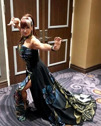 🔥 Cynthia rothrock leaked private photo uncensored full