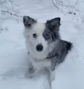 🔥 Dilaraa page leaked private photo uncensored full