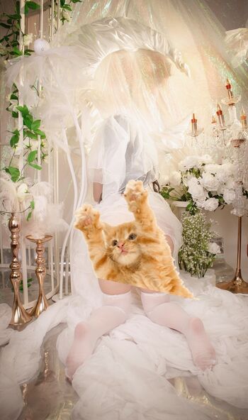 🔥 Hinata neko page leaked private photo uncensored full