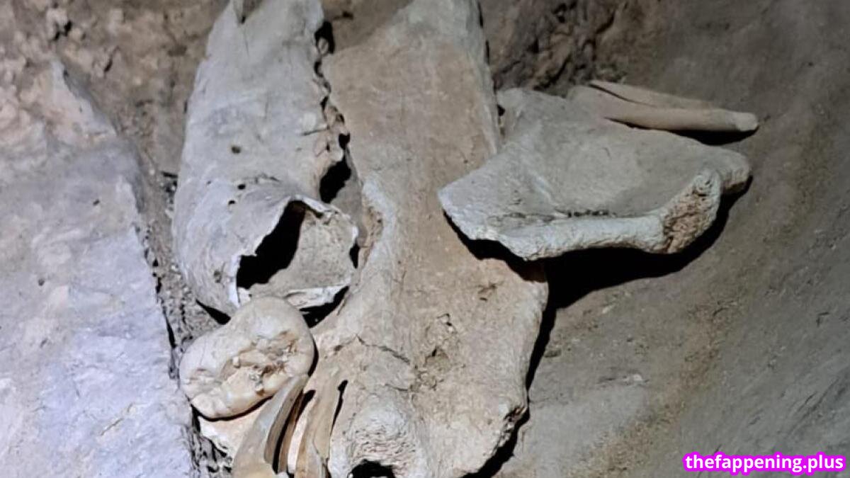 🔥 Page/ leaked private photo uncensored full