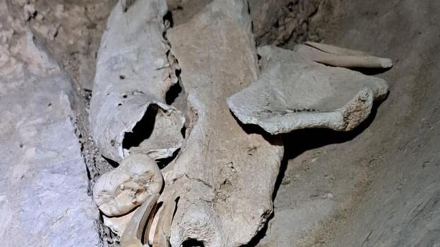 🔥 Laurenspenceruk leaked private photo uncensored full