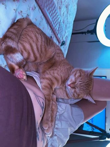 🔥 Merciabawden leaked private photo uncensored full