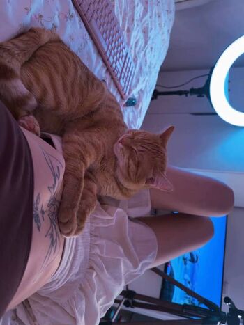 🔥 Merciabawden leaked private photo uncensored full